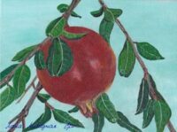 Ветвь граната